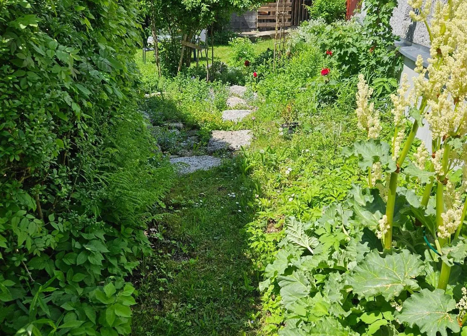 Idyllisches Ferienhaus Im Fichtelgebirge Nagel Prázdninový dům